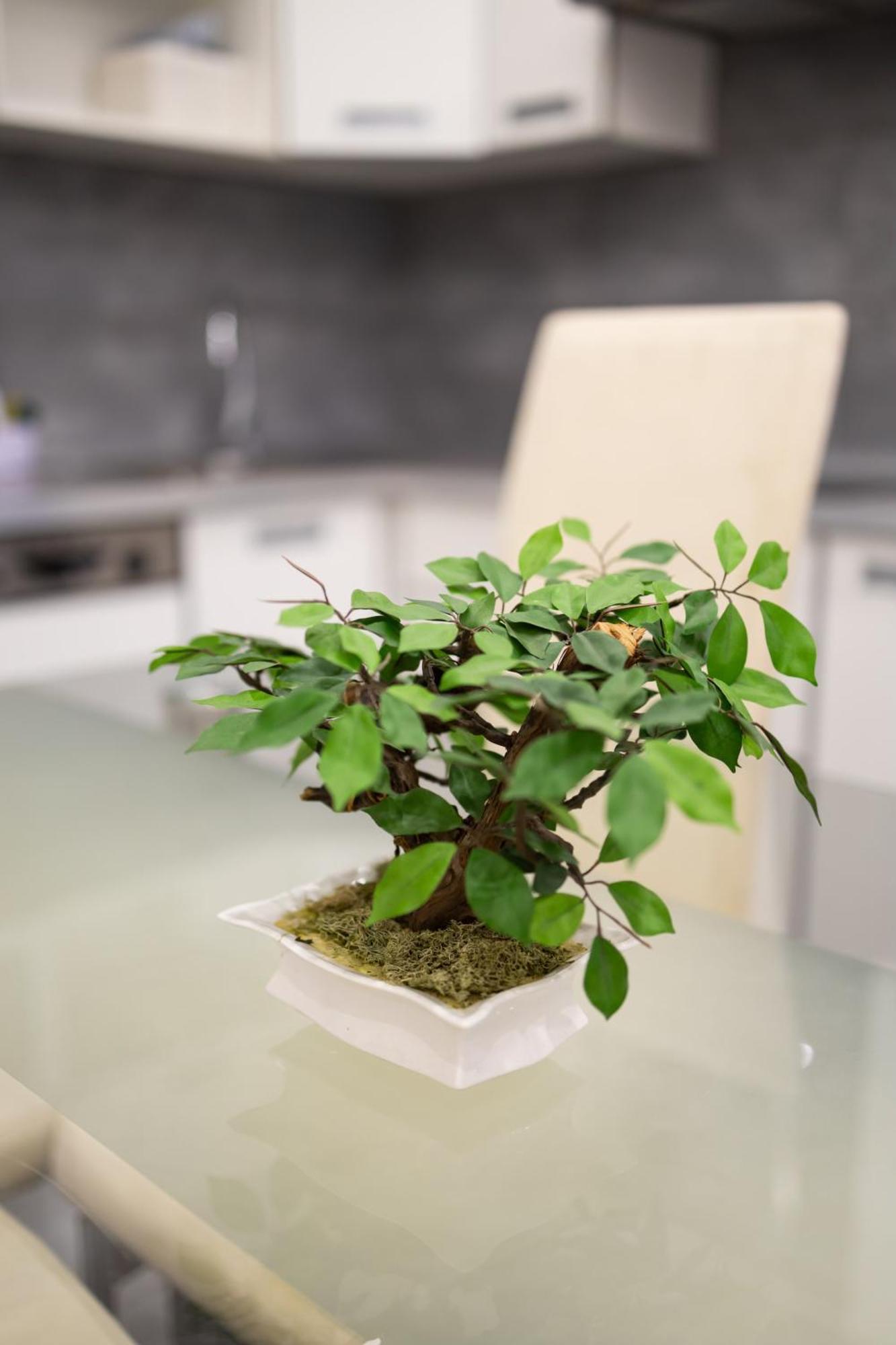Fonix Apartman 德布勒森 外观 照片